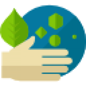 Hệ Thống Phân phối